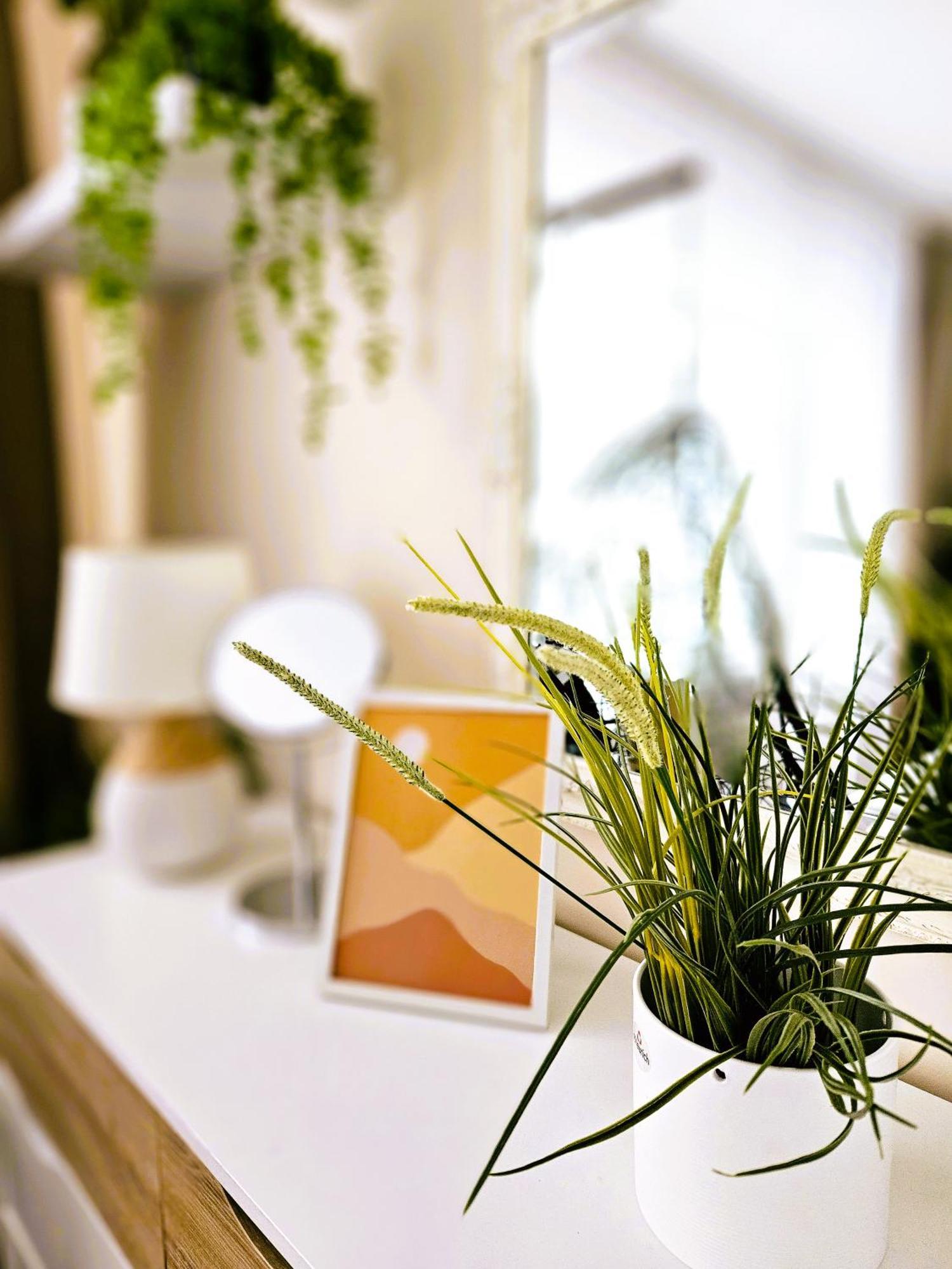 Cofy - Centrally Located, Quiet District, Air-conditioning, Free Parking, 24-7 Express Check-in-out, Close To Sea And Everything Need For Living! Appartamento *